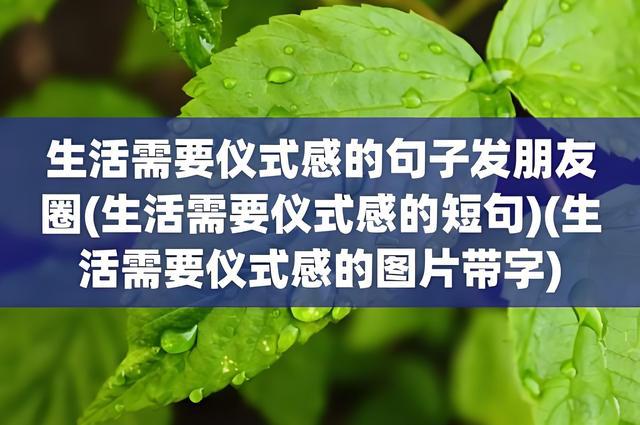 仪式感是什么意思AG真人游戏平台(图2)